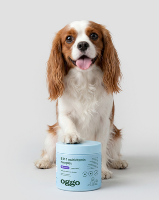 Multivitamin für Hunde 8 in 1 für Immunsystem, Fell und Vitalität Oggo 180 g - 2