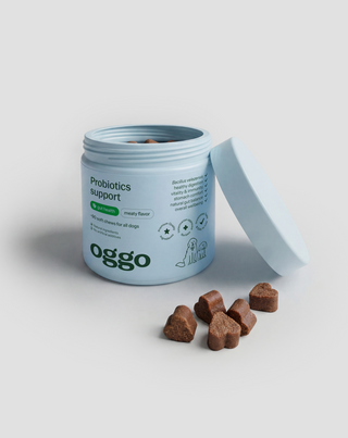 Bacillus velezensis Probiotikum für Hunde für Verdauung, Darm und Immunsystem Oggo 180 g - 4