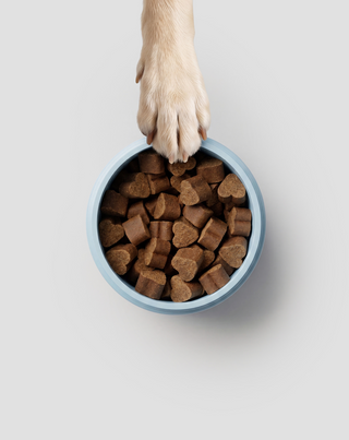 Bacillus velezensis Probiotikum für Hunde für Verdauung, Darm und Immunsystem Oggo 180 g - 5