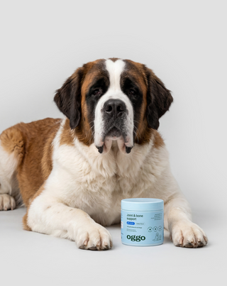 Nahrungsergänzung für Gelenke und Knochen bei großen, aktiven und älteren Hunden Joint & Bone Support Oggo 180 g - 3